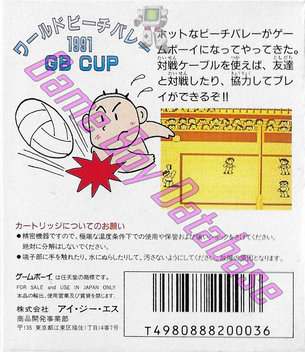 World Beach Volley 1991 GB Cup JPN Back of the box