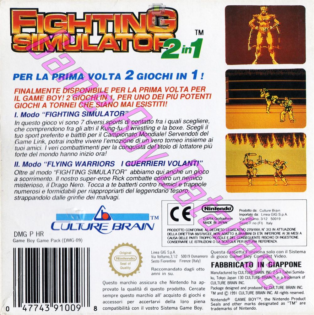 Fighting Simulator 2 in 1 Flying Warriors ITA Back of the box