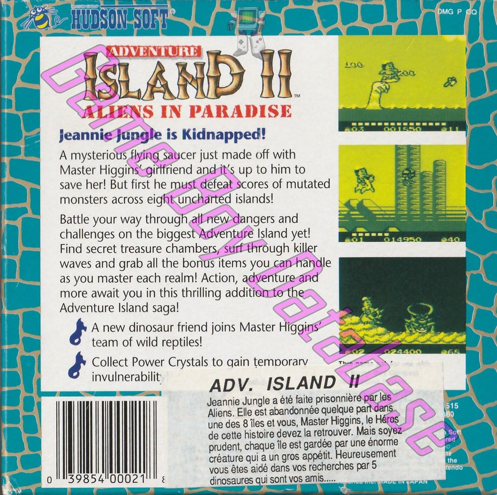 Adventure Island II USA Back of the box