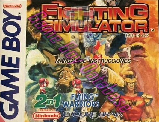 Fighting Simulator 2 in 1 Flying Warriors ESP Front of the booklet