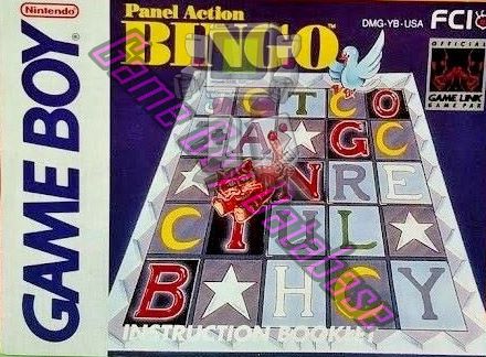 Panel Action Bingo USA Front of the booklet