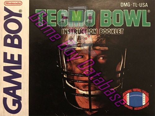 Tecmo Bowl USA Front of the booklet