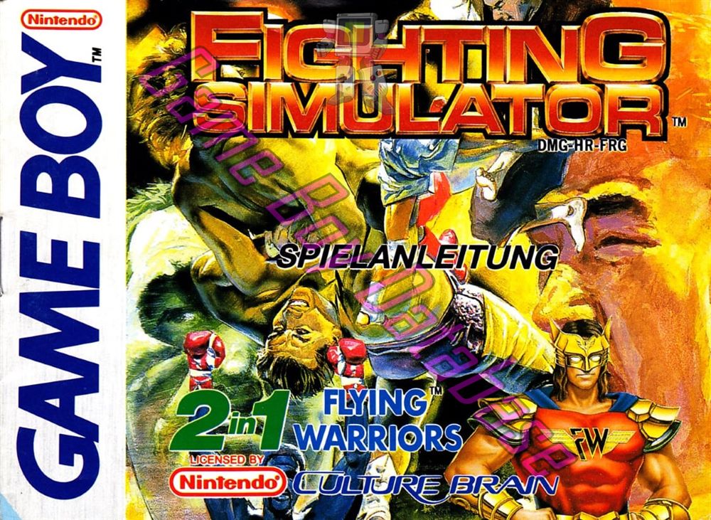 Fighting Simulator 2 in 1 Flying Warriors FRG Front of the booklet