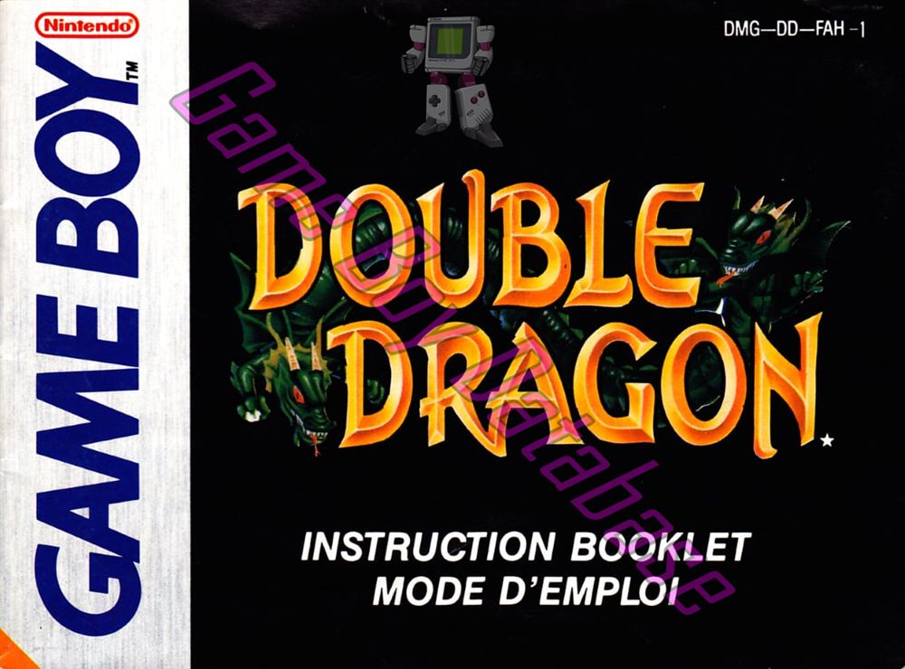 Double Dragon FAH Front of the booklet