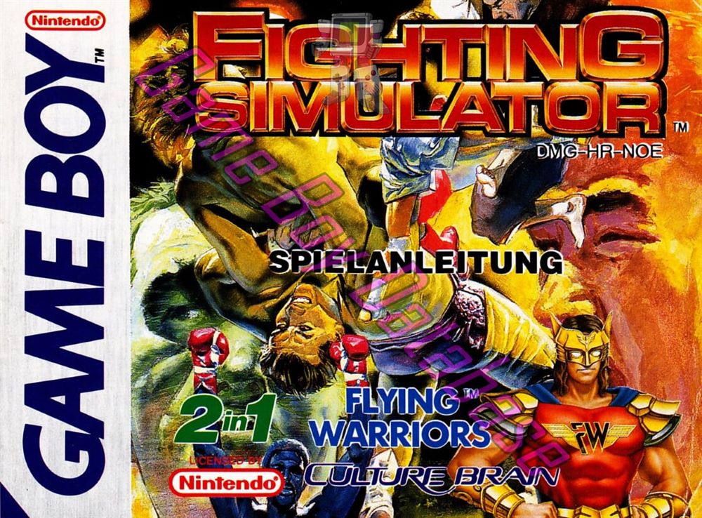 Fighting Simulator 2 in 1 Flying Warriors NOE Front of the booklet