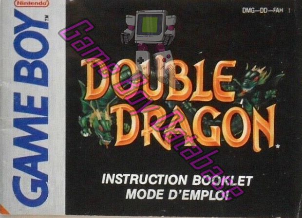 Double Dragon FAH Front of the booklet