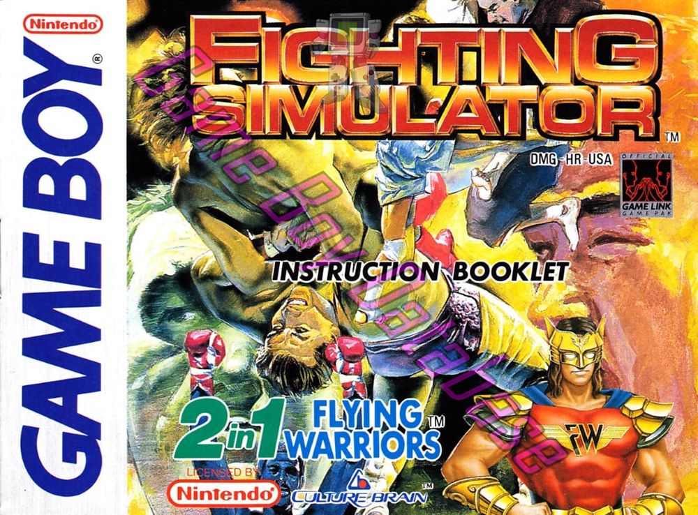 Fighting Simulator 2 in 1 Flying Warriors USA Front of the booklet