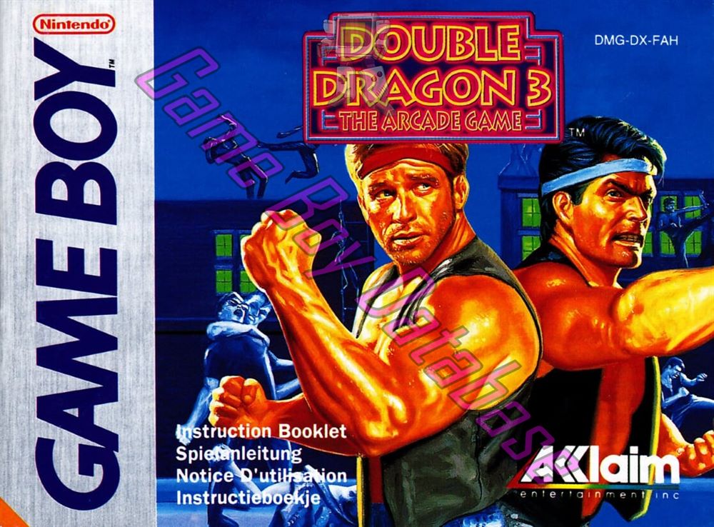 Double Dragon 3 the Arcade Game FAH-2 Front of the booklet