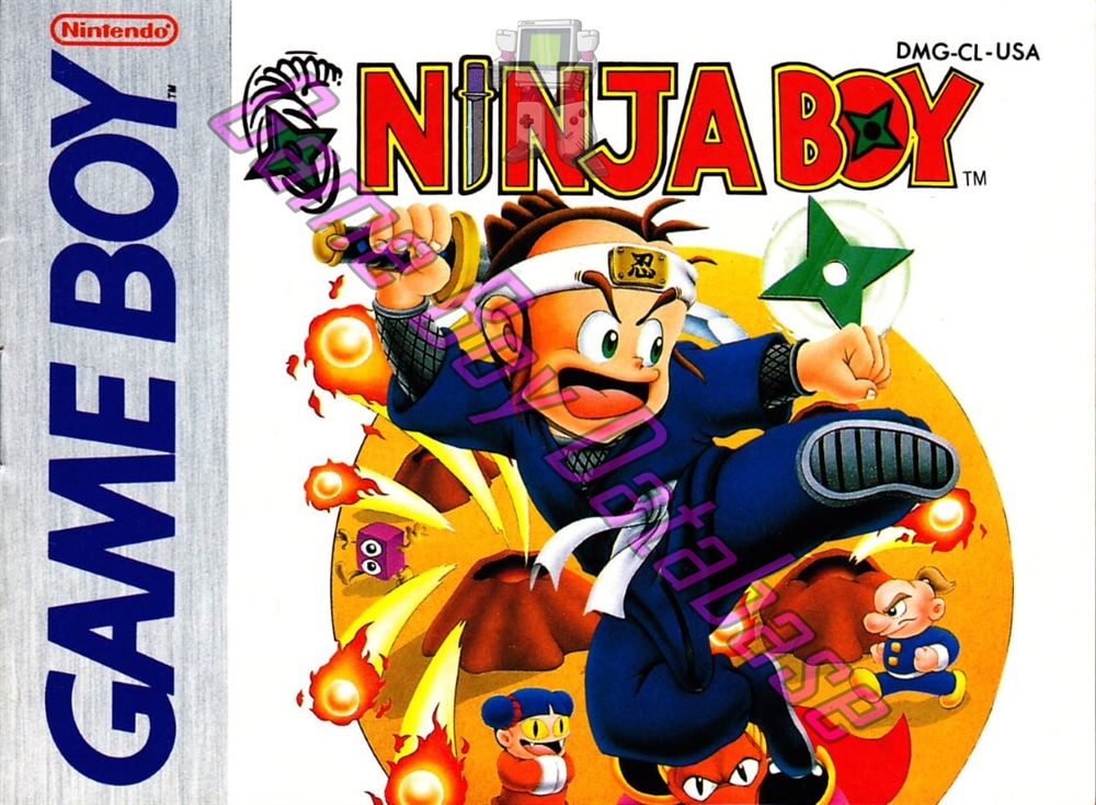 Ninja Boy USA Front of the booklet