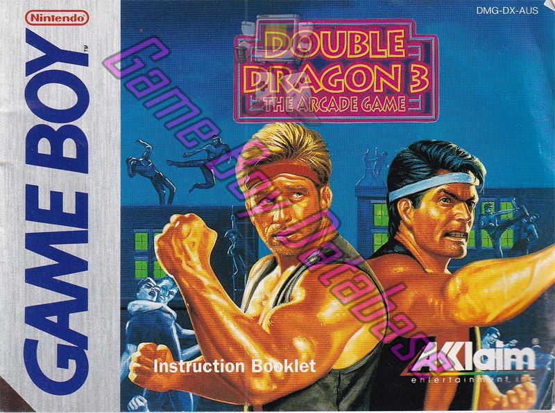 Double Dragon 3 the Arcade Game AUS Front of the booklet