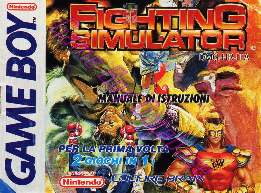 Fighting Simulator 2 in 1 Flying Warriors ITA Front of the booklet