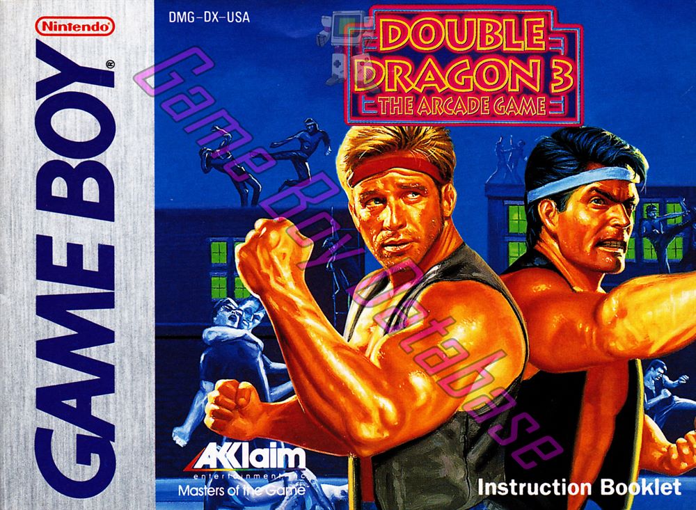 Double Dragon 3 the Arcade Game USA Front of the booklet