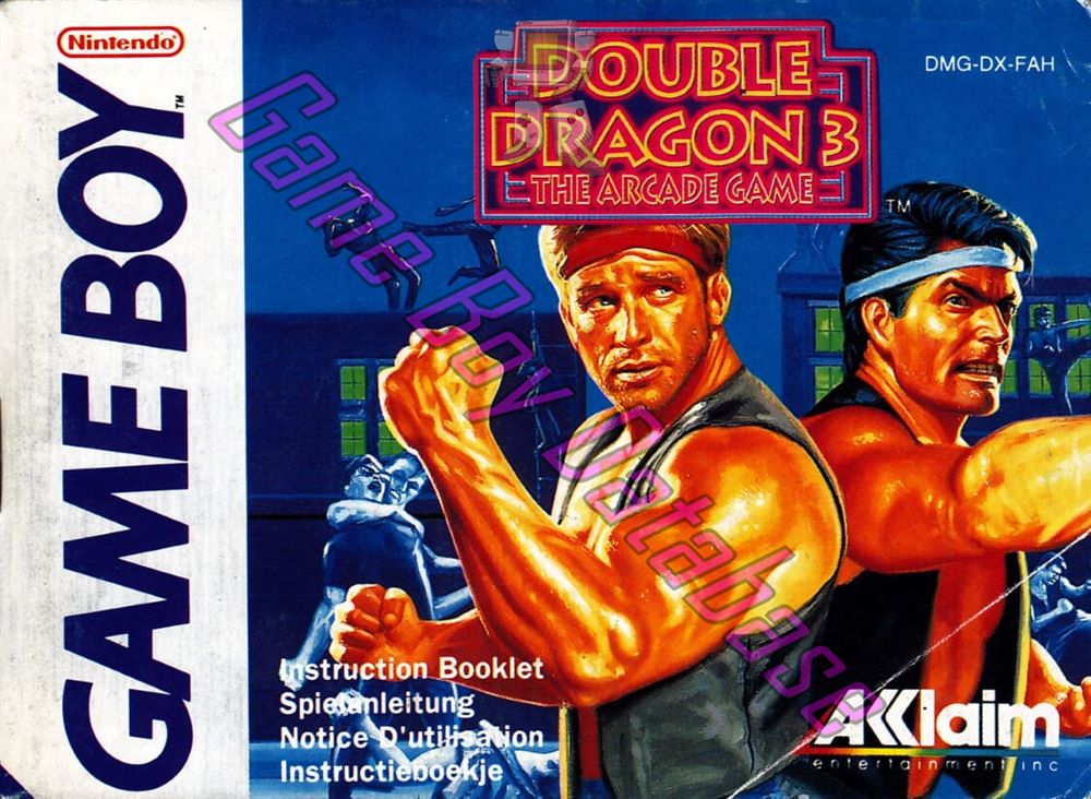 Double Dragon 3 the Arcade Game FAH Front of the booklet