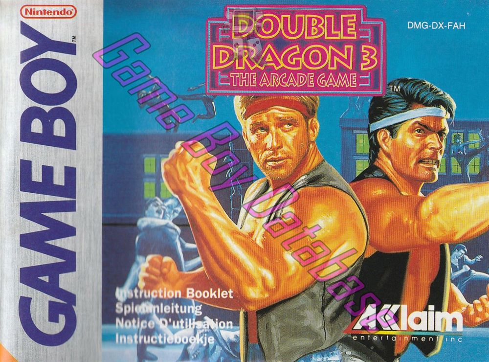 Double Dragon 3 the Arcade Game FAH Front of the booklet