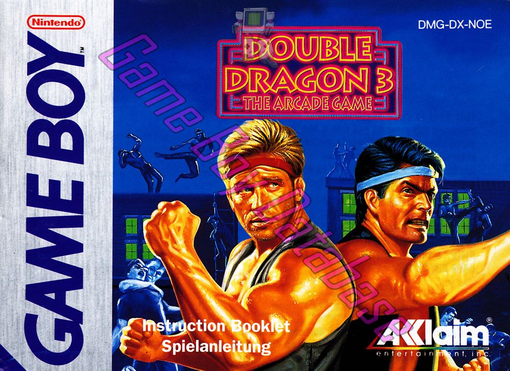 Double Dragon 3 the Arcade Game NOE Front of the booklet