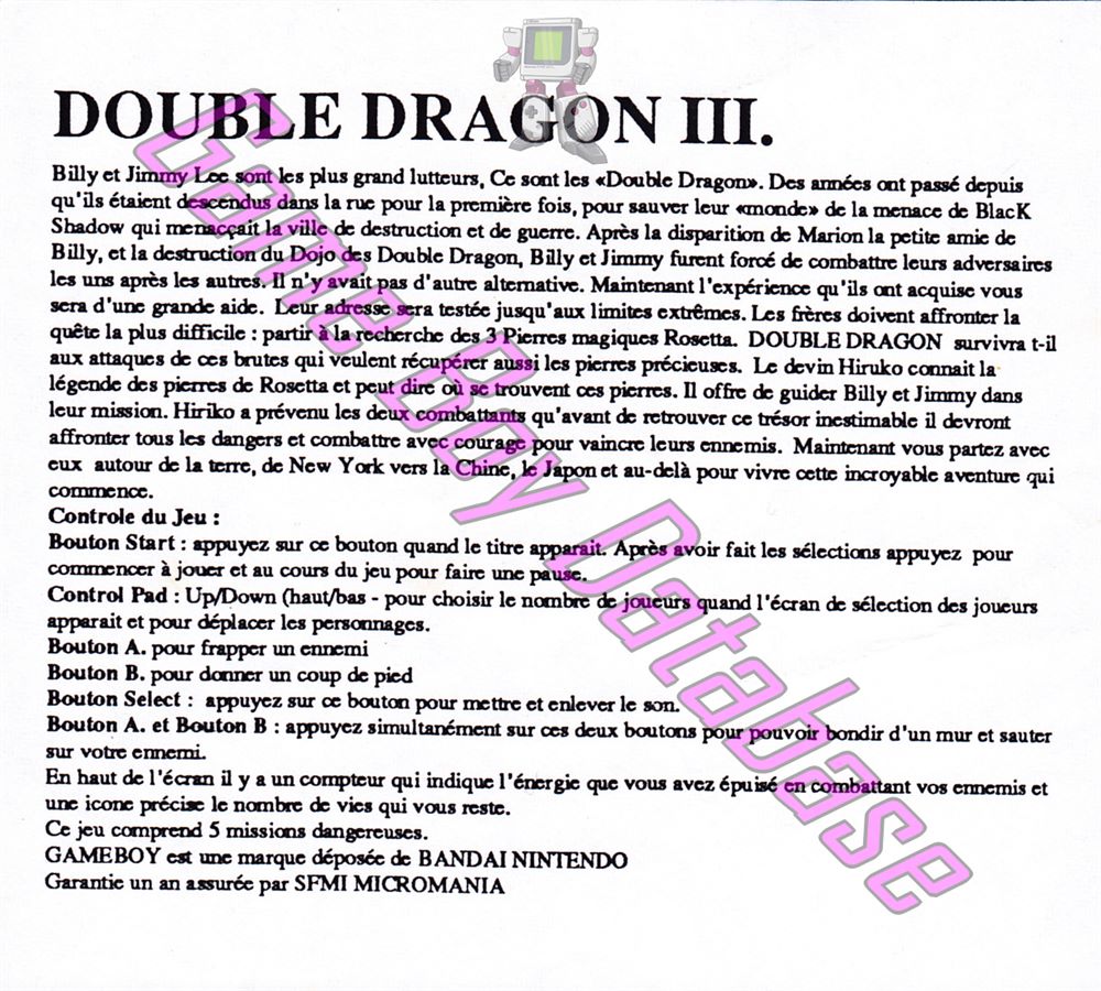 Double Dragon 3 the Arcade Game USA Posters