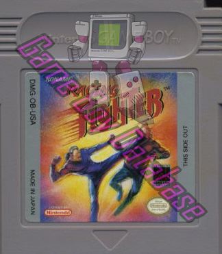 Raging Fighter USA Cartridge