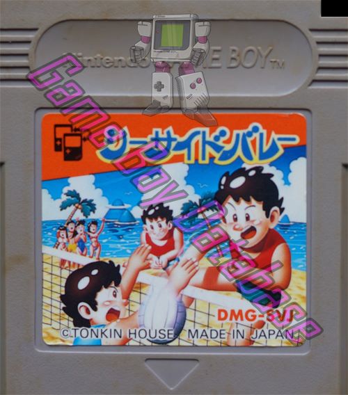 Seaside Volleyball JPN Cartridge